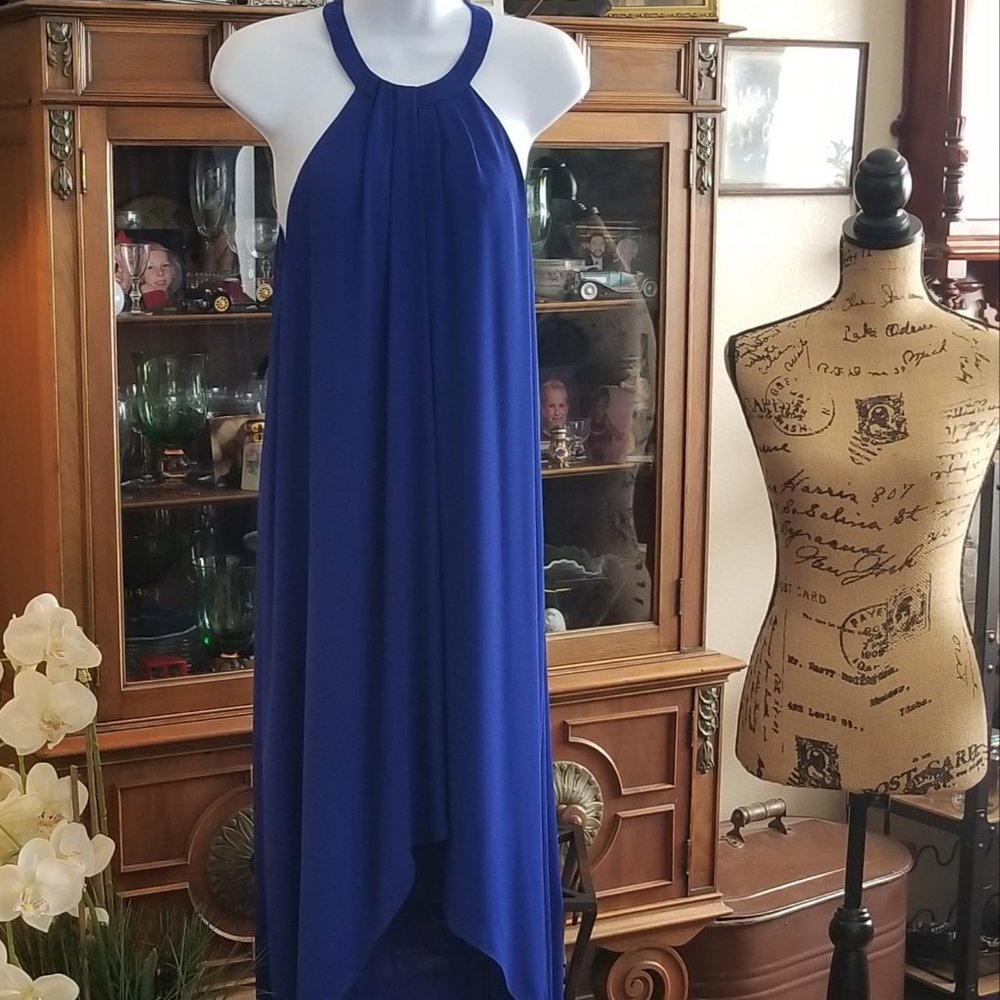 BCBG Maxazria High Low flowy maxi dress